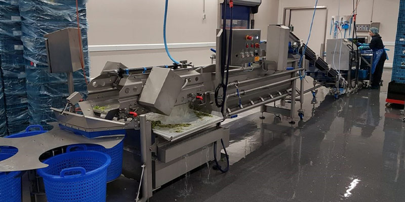 Knook AGF makes efficiency gains with new weighing, cutting and packaging line